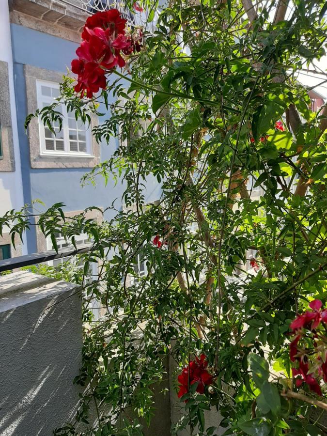 Amazing City Center Apartment Porto Villa Loios Extérieur photo